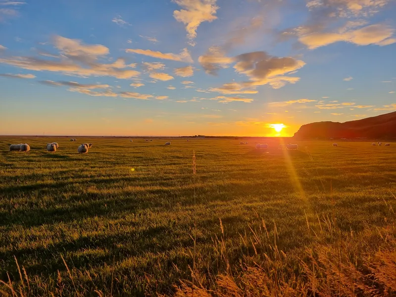 Islandia